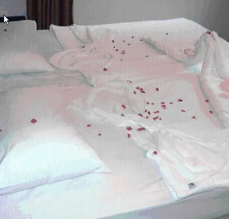 布鲁戴蒙德奥尔亚酒店 酒店 阿拉尼亚